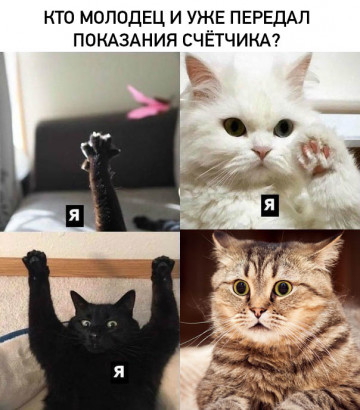 Передача показаний «счетчиков» - право или обязанность?